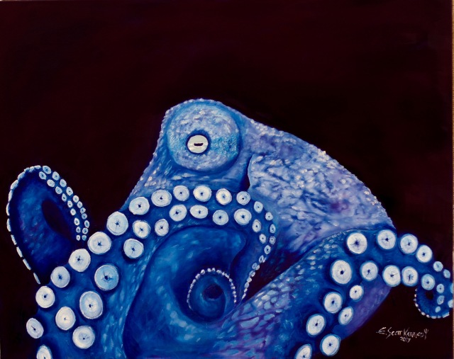 an-octopus